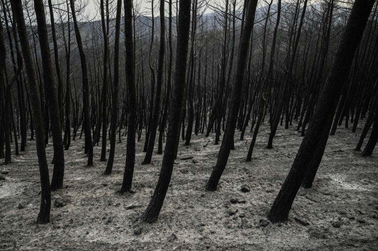 Greek fires continue to rage, as toll rises to 21