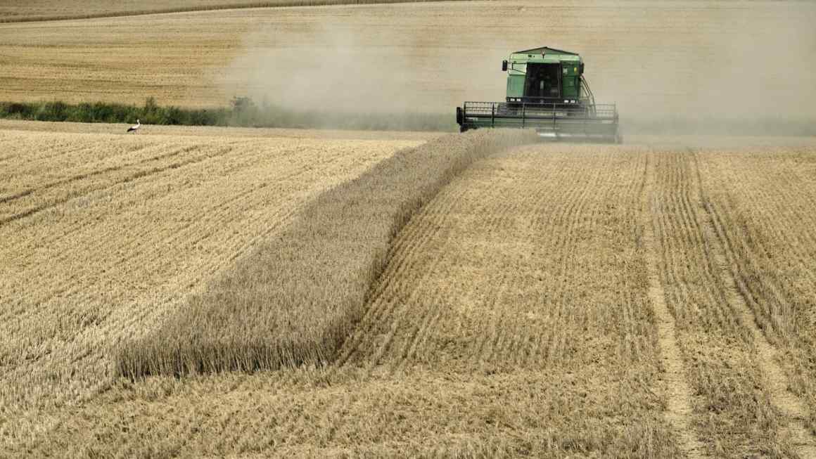 EU lifts import ban on Ukraine’s grain