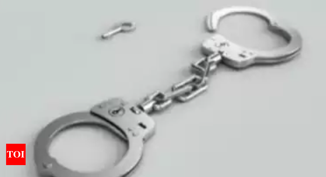 Infant trafficking racket busted in Bengaluru, seven ‘agents’ arrested; doctors’ link suspected