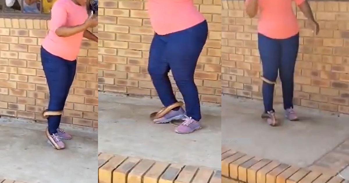 Fearless Woman Stuns Netizens Online As She Crúshǝs Snake’s Head With Her Feet (WATCH)