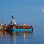 From sea monkeys to Great Salt Lake gold